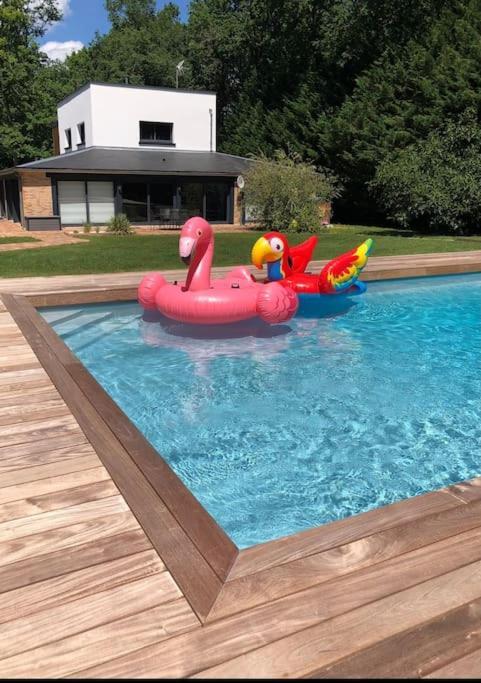 Magnifique Villa Avec Piscine En Sologne Vouzeron Exterior photo